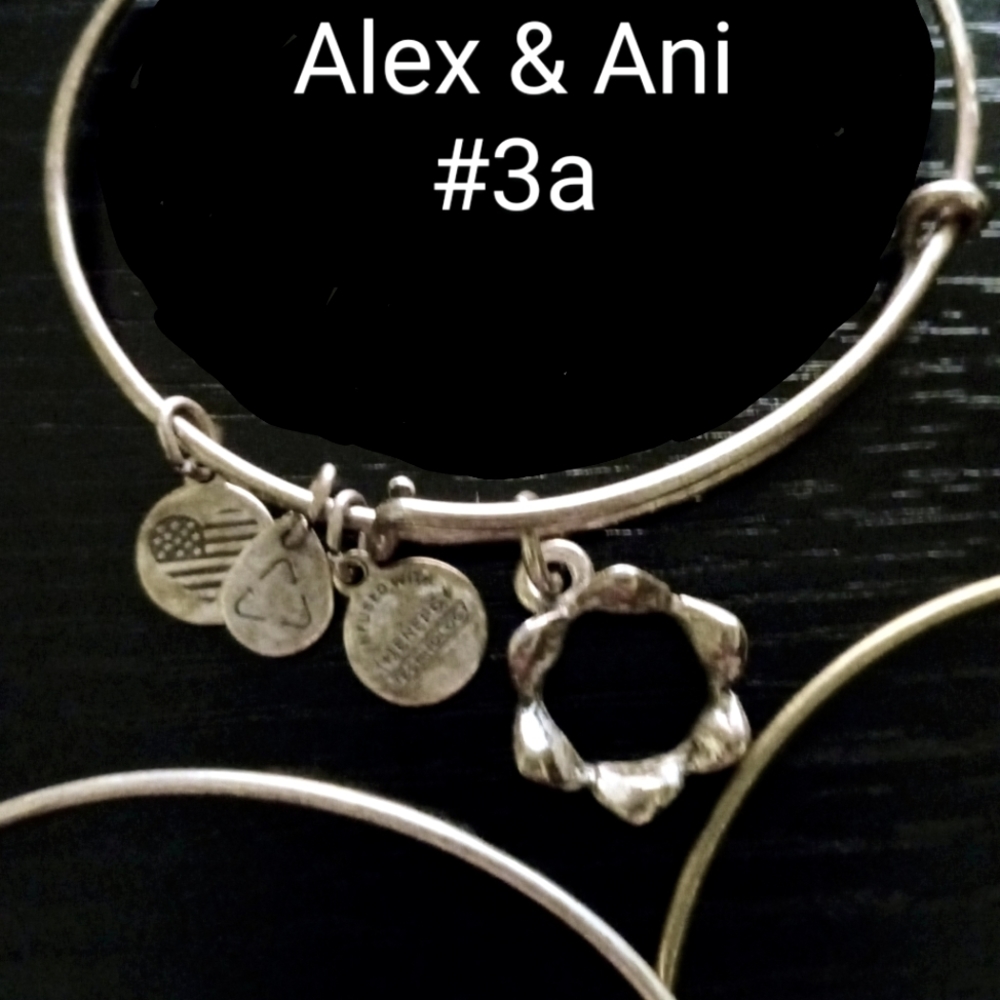 Alex & Ani Crown Charm Bracelet